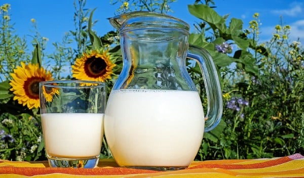 La leche es fuente de proteína. Foto: Pixabay