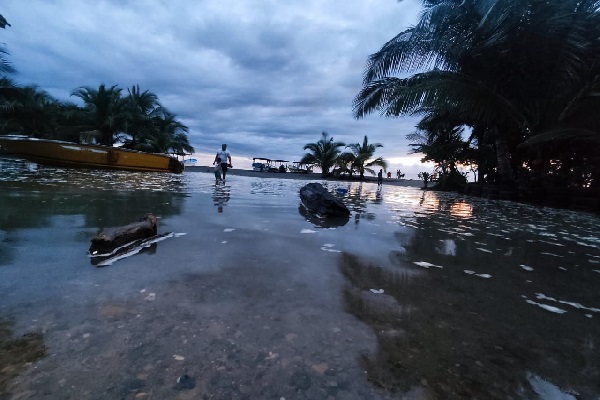 Los habitantes en Malena, informaron que los daños también se dieron en los criaderos de las tortugas marinas porque las olas sellaron con mucha área este lugar donde nacen estas especies. Foto. Melquiades Vásquéz