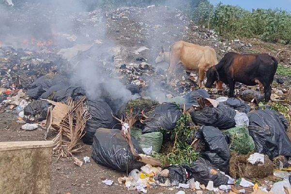 Los moradores, precisan que han mandado una infinidad de notas a la Autoridad de Aseo, que por ley le compete velar por los vertederos y no han tenido respuesta. Foto. Thays Domínguez