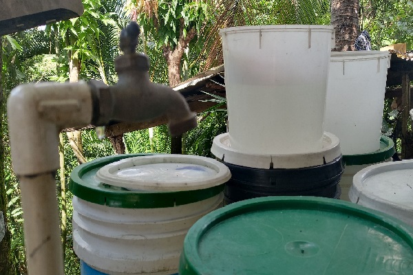 El objetivo de la reforestación es garantizar un suministro de agua constante y de buena calidad, además de frenar el deterioro de los suelos y la desaparición de plantas y animales. Foto. Eric Montenegro