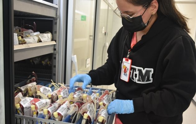 La donación de sangre a disminuido a nivel nacional. Foto: CSS