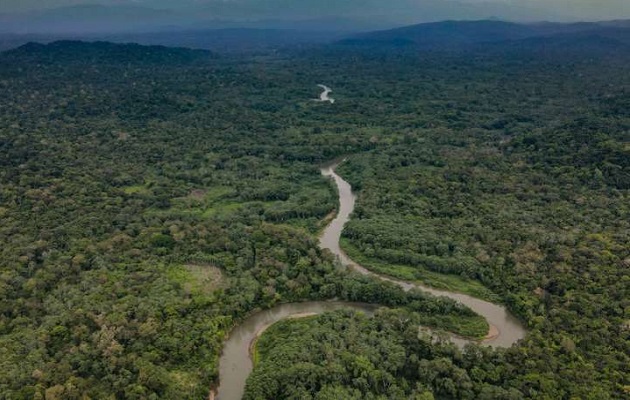 Darién es una zona de gran biodiversidad. Foto: Cortesía