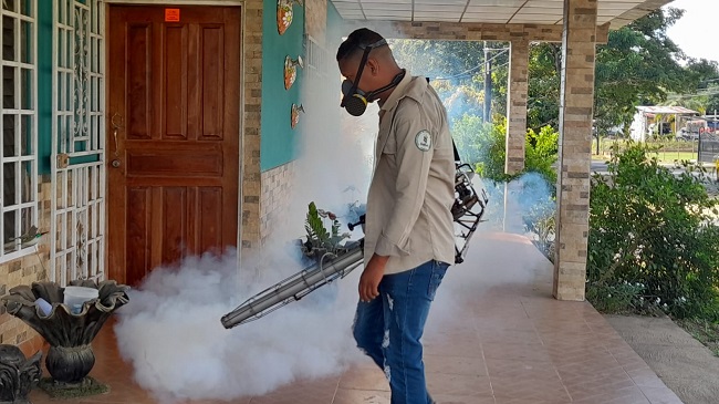 A pesar de las pocas lluvias los casos se incrementaron por la presencia de los cuatro serotipos de dengue. Foto: Cortesía Minsa