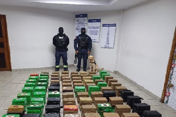 El año pasado se realizaron más de180operaciones contra el narcotráfico. Foto. Archivo