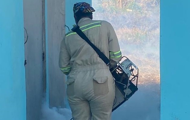 El Minsa ha reforzado los operativos de inspección y nebulización. Foto: Diomedes Sánchez