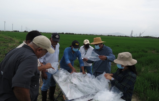 Profesionales del sector piden cumplimiento de la ley. Foto: Cortesía