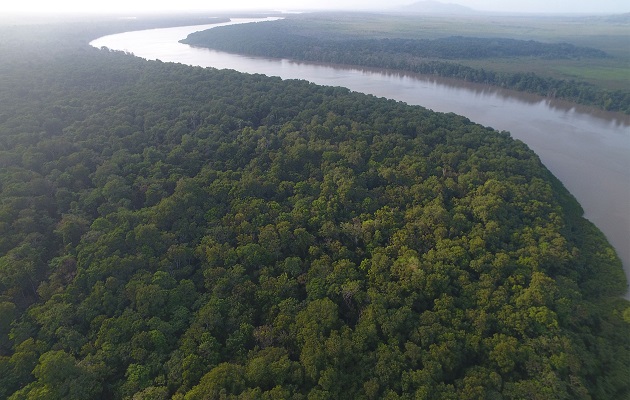 Los humedales de Matusagaratí están estrechamente relacionados con el bienestar de los habitantes de esta zona. Foto: Senacyt