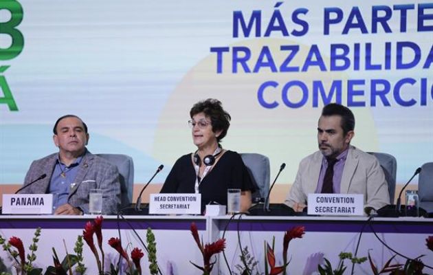 Tercera reunión de las Partes en el Protocolo para la Eliminación del Comercio Ilícito de Productos de Tabaco (MOP3). Foto: EFE