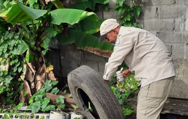 Para prevenir el dengue, la clave es eliminar los criaderos del mosquito. Foto: Cortesía Minsa