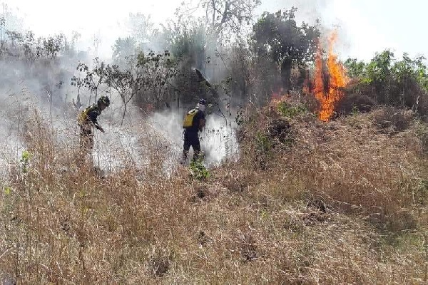 Carlos Barker, jefe del Cuerpo de Bomberos de Colón dijo que en la mayoría de los casos, estos incendios son provocados,  Foto. Archivo