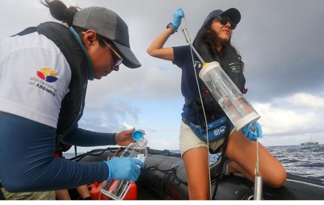 Las aguas circundantes de las Islas Galápagos "son un ejemplo de conservación. Foto: EFE