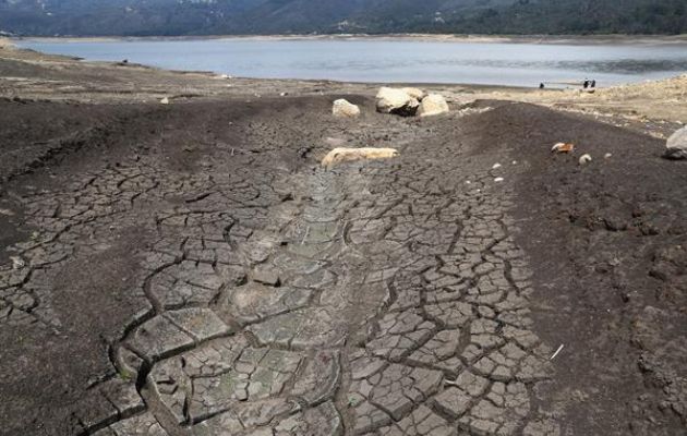 Las extensas playas formadas por la falta de agua en el embalse San Rafael. Foto: EFE