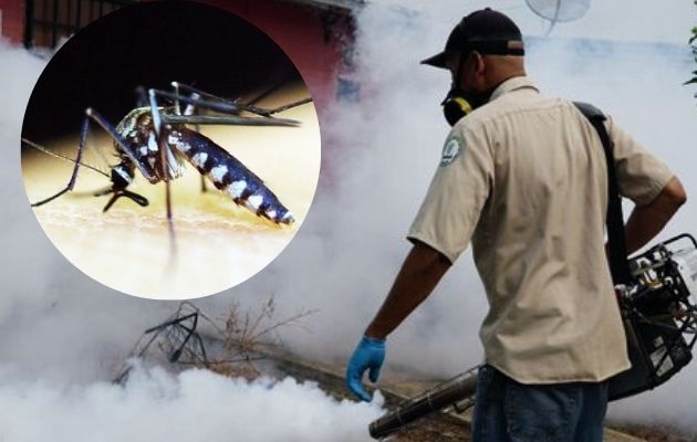 El Minsa confirmó un total de 4, 297 casos acumulados en todo el país. Foto: Cortesía