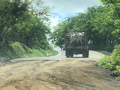 Los constantes baches, hundimientos y tramos sin asfalto, preocupa a los moradores. Foto: Diomedes Sánchez