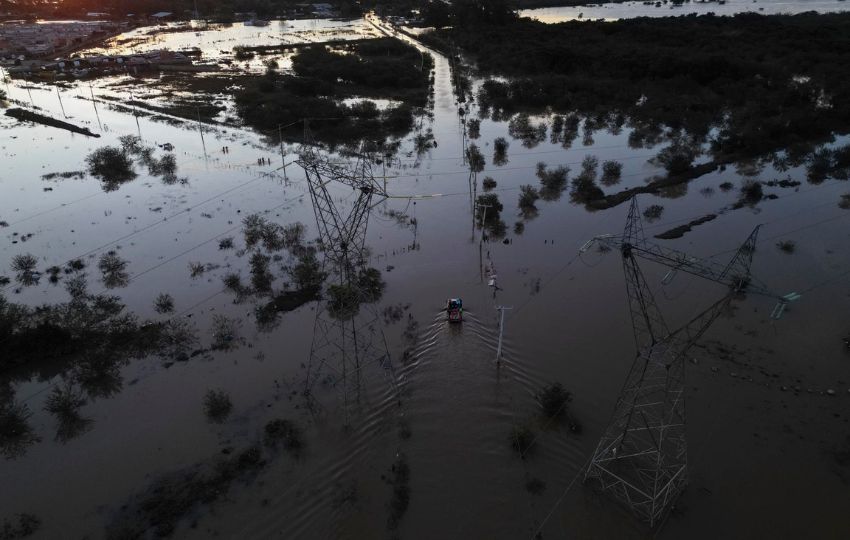 Pérdidas en la ganadería brasileña por las inundaciones superan los 41 millones de dólares. Foto: EFE