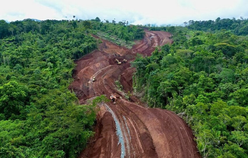 La carretera afecta la biodiversidad de la reserva. Foto: Cortesía 