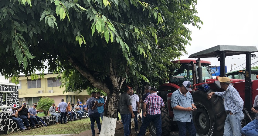 El retiro de la maquinaria ocurre luego de que los productores santeños de maíz decidieron darle una tregua y suspender las medidas de protesta. Foto. Thays Domínguez