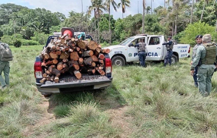 Uno de los detenidos ya había sido procesado en el 2020 por la comisión de este delito ambiental, confirmó el Ministerio de Ambiente. Foto. Cortesía. MiAmbiente