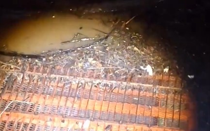 Crecida del río Santa María y arrastre de sedimentos en Veraguas. Foto/Idaan