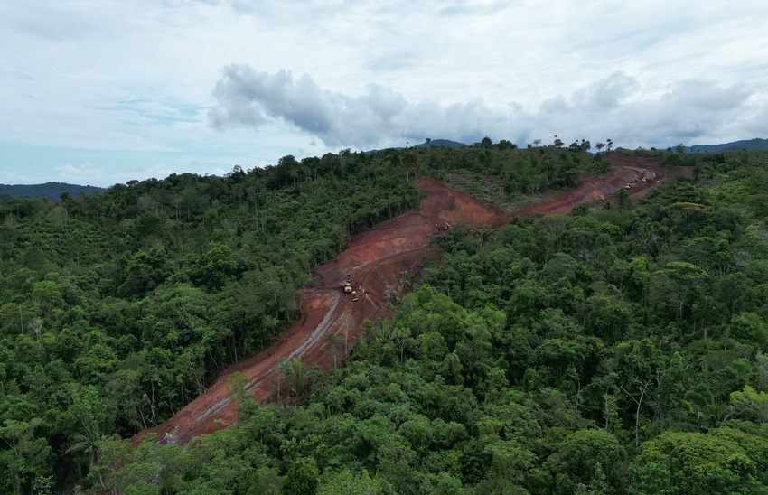 Sierra Llorona alberga una diversidad única de especies. Foto: Cortesía