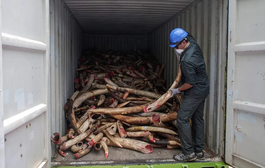 Las operaciones ilícitas contribuyen a la degradación del medio ambiente. Foto: EFE