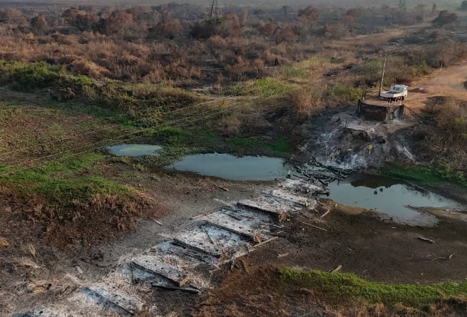 Escenas del reciente incendio en el Pantanal de Brasil. Foto: EFE