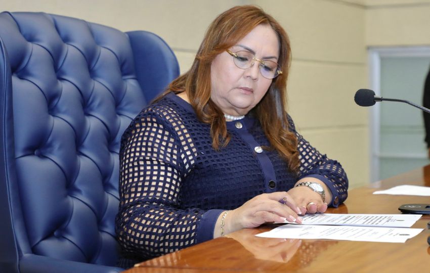Dana Castañeda, presidenta de la Asamblea Nacional. Foto: Cortesía