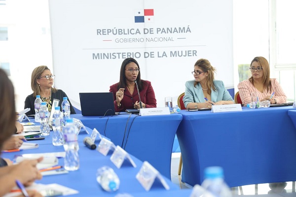 Niurka Palacio expuso su plan estratégico ante directores del ministerio que preside. Foto: Cortesía