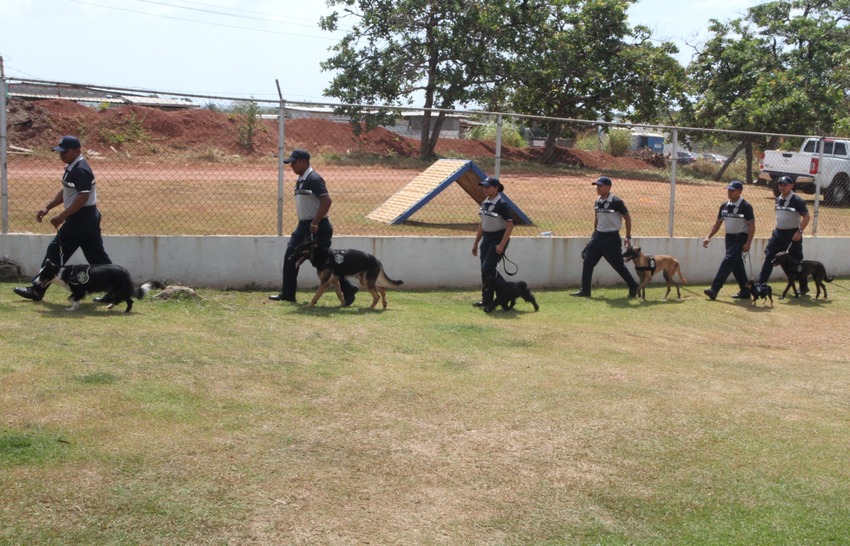 Los perros no son solo mascotas, son compañeros de trabajo. Foto: Cortesía