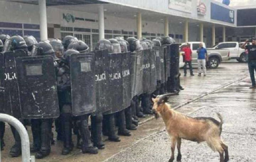 Los dueños de las 60 hectáreas de terreno en varias oportunidades habían protestado exigiendo que se dasalojara a los invasores de su propiedad. Foto. Archivo