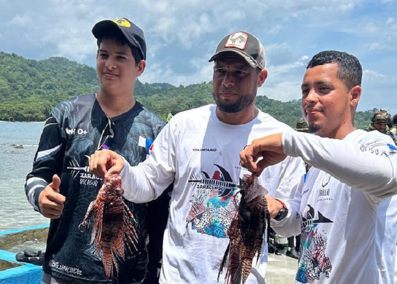 Este tipo de eventos está encaminado a capturar este animal acuático conocido como el “pirata del Caribe". Foto: DIomedes Sánchez