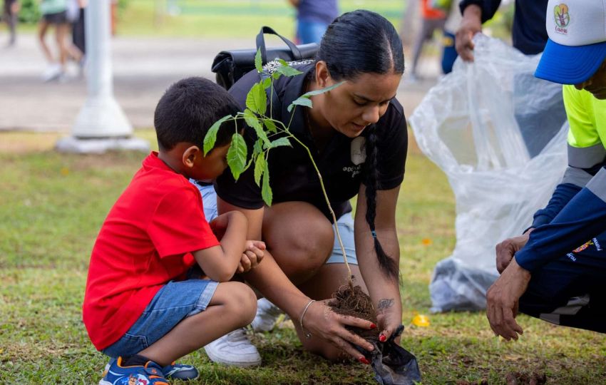 La Alcaldía de Panamá ha realizado varias siembra de plantones. Foto: Cortesía