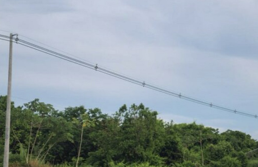  Los restos de una cometa entraron en contacto con la línea eléctrica. Foto: T