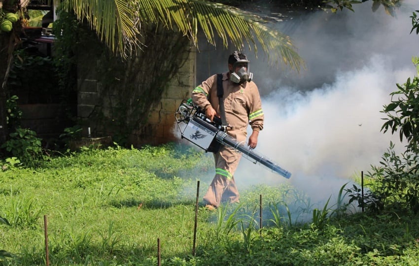 Los casos de dengue podrían seguir en aumento. Foto: Cortesía/Minsa