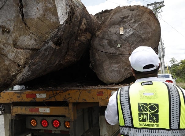 El Ministerio emitió esta resolución para regular el transporte de madera en tuca, bloques, aserrada y semi-aserrada proveniente del bosque natural. Foto: Cortesía