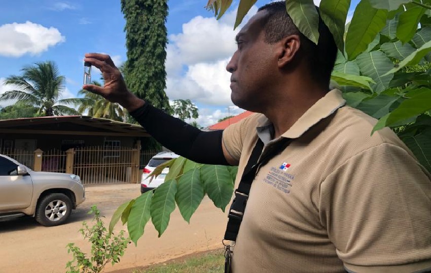 se han reforzado las campañas de concienciación y educación comunitaria para que los residentes adopten medidas preventivas, como eliminar agua estancada en sus patios y predios. Foto. Thays Domínguez