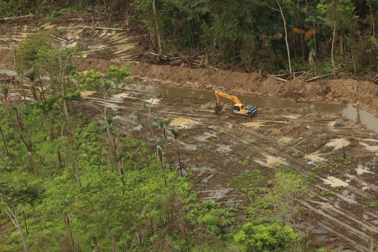 Detectan posibles daños ambientales en humedales y bosques en Darién. Foto: Cortesía