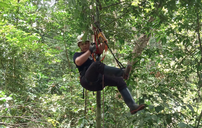 La tesista Carolina Mitre durante un ascenso para colocar cámaras trampa en lo alto de un árbol. Foto: Karol Lara