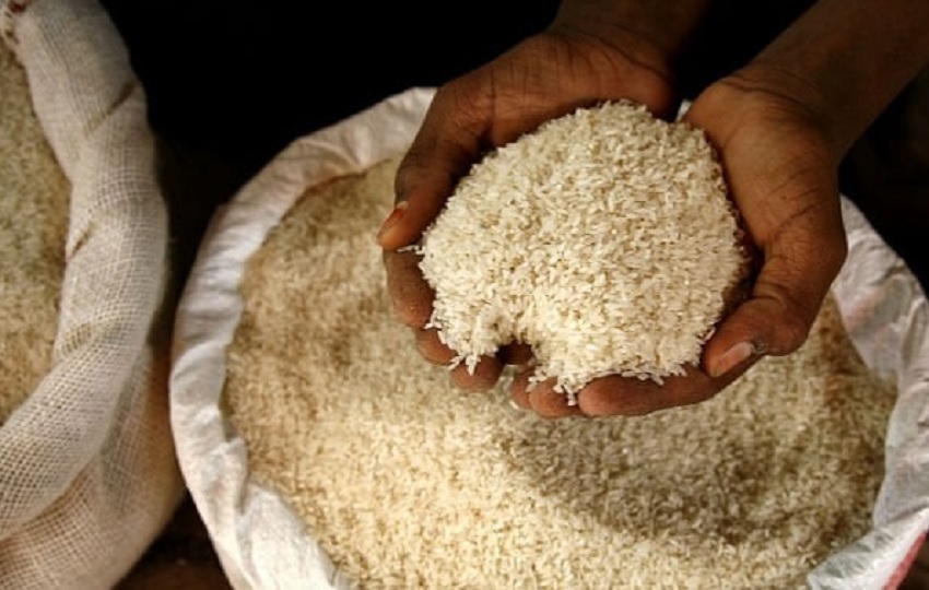 El arroz es uno de los alimentos prioritarios en la dieta de los panameños. Foto: Cortesía