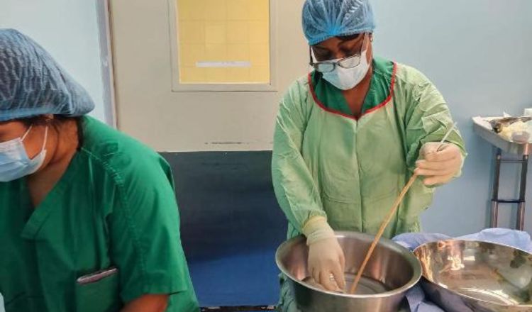 La empresa LeMaitre incursionó en la fabricación y preparación de tejidos de injertos biológicos.  Foto: CSS