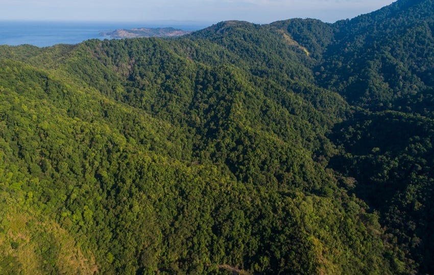 Los usuarios pueden ingresar al sitio oficial de MiAmbiente. Foto:Cortesía