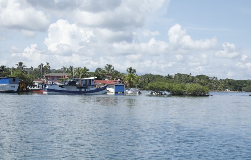 Pescadores deben adoptar medidas para  proteger a las especies marinas. Foto: Cortesía