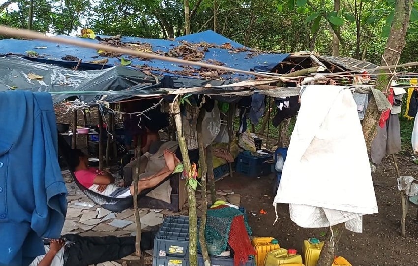 Los jóvenes de las comunidades de: Guázaro, Río Veraguas, Calovébora y Bocas del Toro, aseguran que su única intención es encontrar un empleo. Foto. Melquiades Vásquez