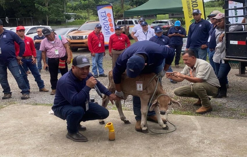 En la actividad, se enfatizó la importancia de recolectar muestras. Foto:Cortesía