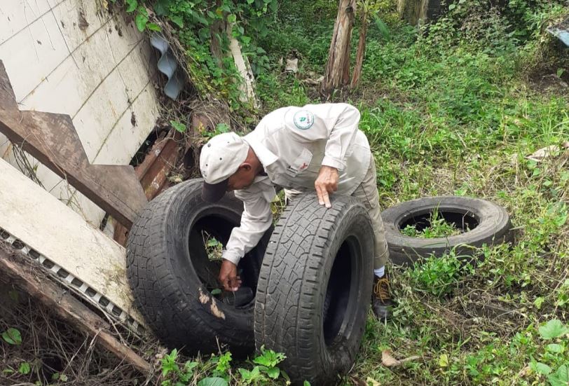 Minsa mantiene operativos de eliminación de criaderos a nivel nacional. Foto: Cortesía