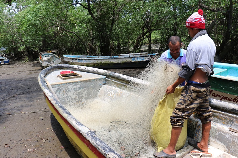 La ARAP coordina con pescadores artesanales para prevenir accidentes con ballenas. Foto: Cortesía/ARAP