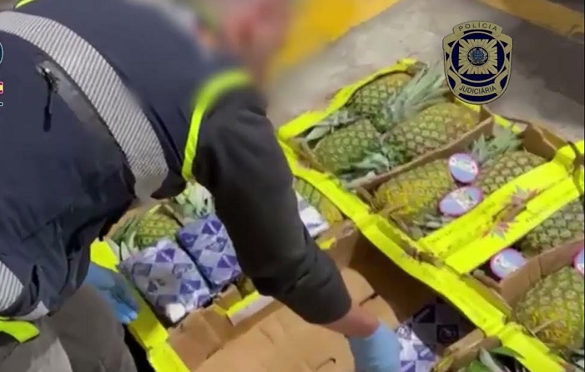 La droga estaba escondida en  las cajas de la fruta. Foto: Cortesía 