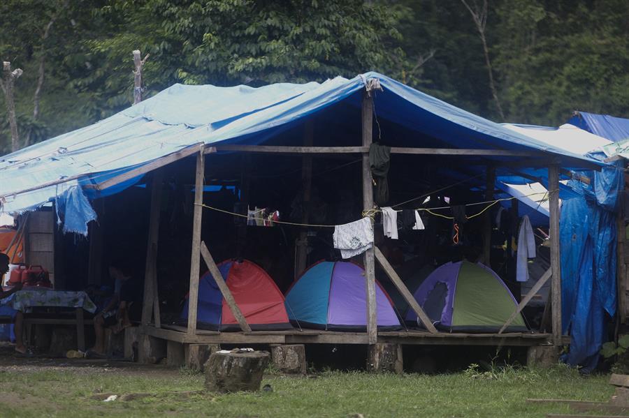 Un campamento en medio de un operativo este sábado en plena selva del Darién, frontera natural entre Colombia y Panamá. Foto: EFE