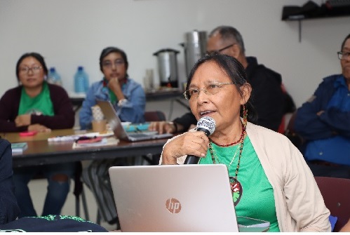 Representantes de las Mujeres Indígenas Unidas por la Biodiversidad de Panamá del pueblo Guna. Cortesía