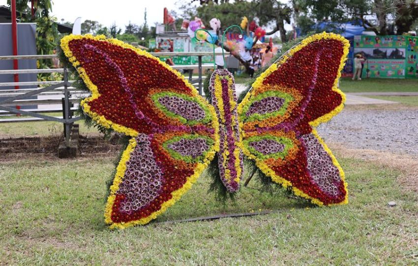 Mariposa hecha de flores. Foto: EFE